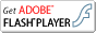 Download Adobe Flash